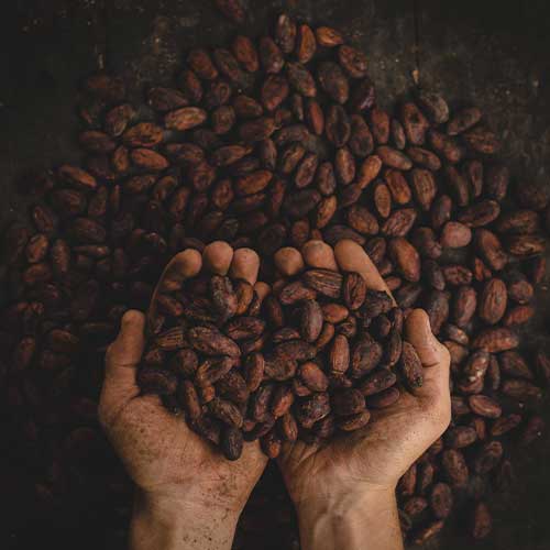 Kakao Kupfer